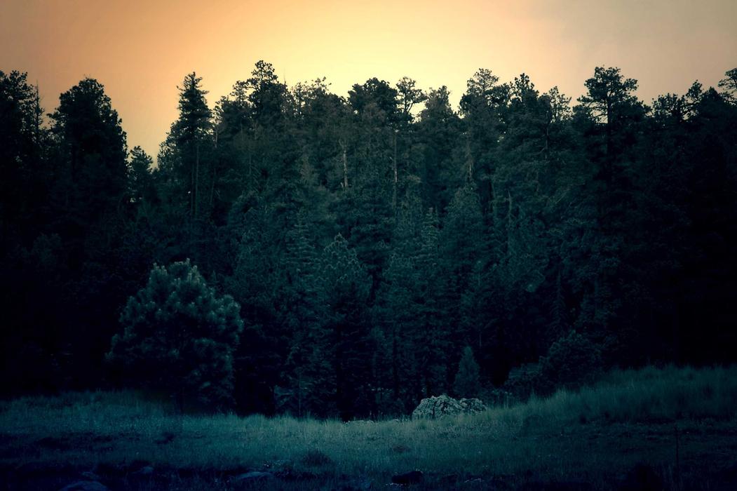 Tempora amet aspernatur odio tenetur pariatur