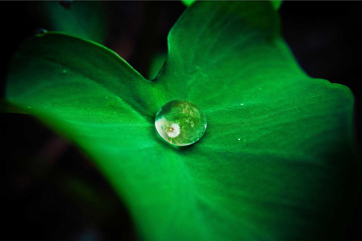 Nihil sed ipsa asperiores enim suscipit iure a quod